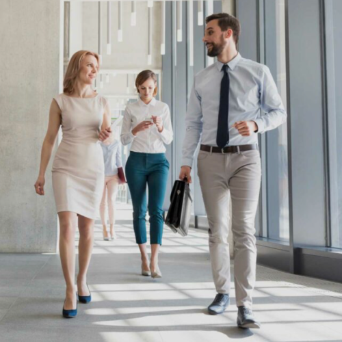 Assistant immobilier