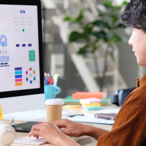 Person who develops an application